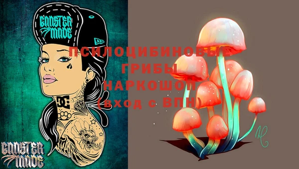 2c-b Алзамай