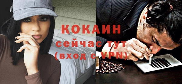 дживик Абинск