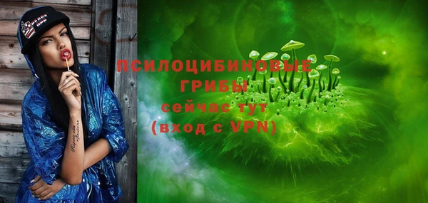 дживик Абинск