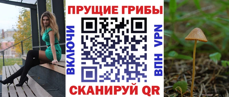 Псилоцибиновые грибы мицелий где можно купить наркотик Сурск